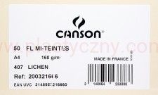 Papier do pasteli Mi-Teintes Canson 160 g/m 50 ark A4 kol 407 lichen